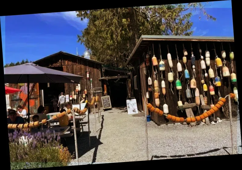 Buck Bay Shellfish Farm