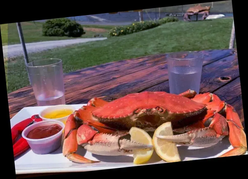 Buck Bay Shellfish Farm