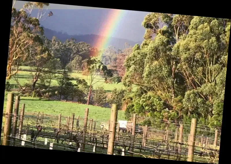 Gippsland Wine Company