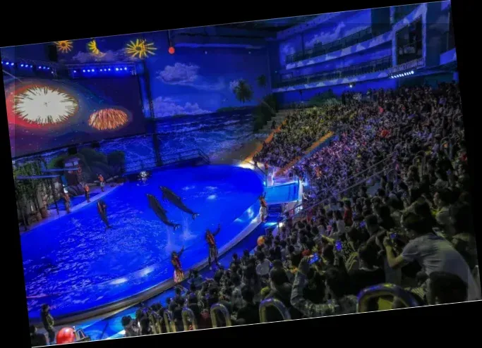 Nanning Polar Ocean World