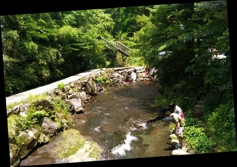 시라카와 수원