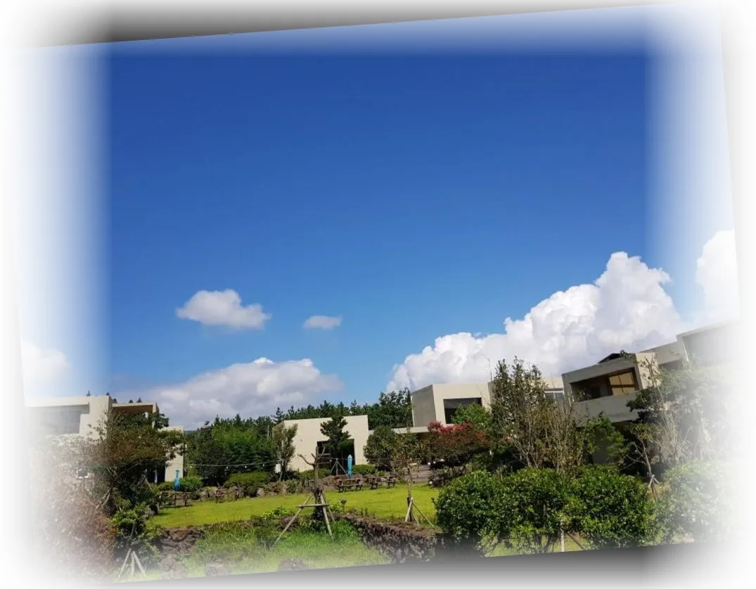 ___2____image_1.webp