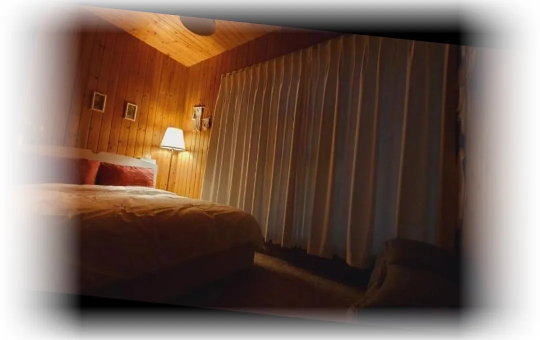 _____________image_10.webp