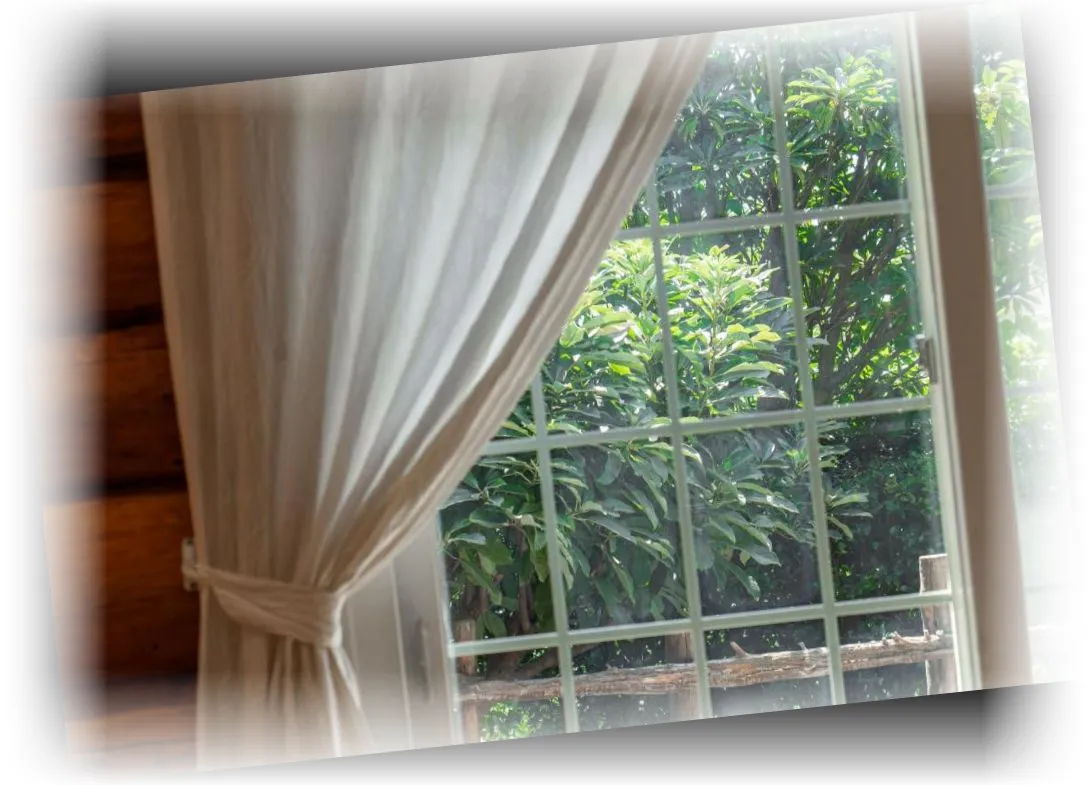 _____________image_6.webp