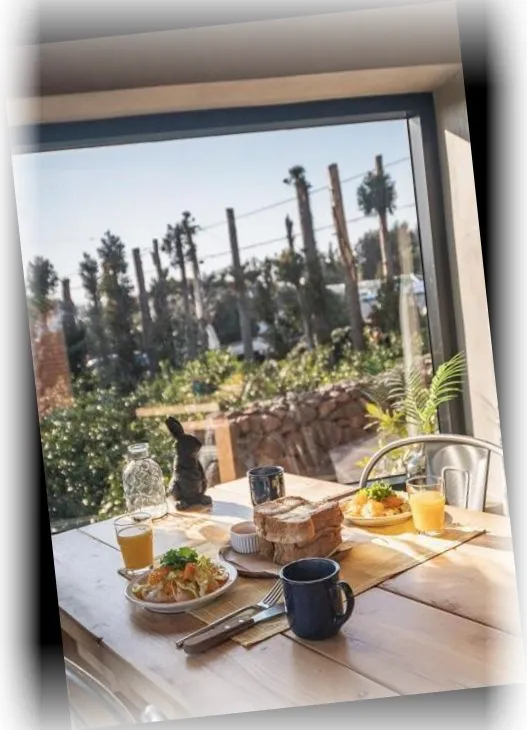 _____image_3.webp