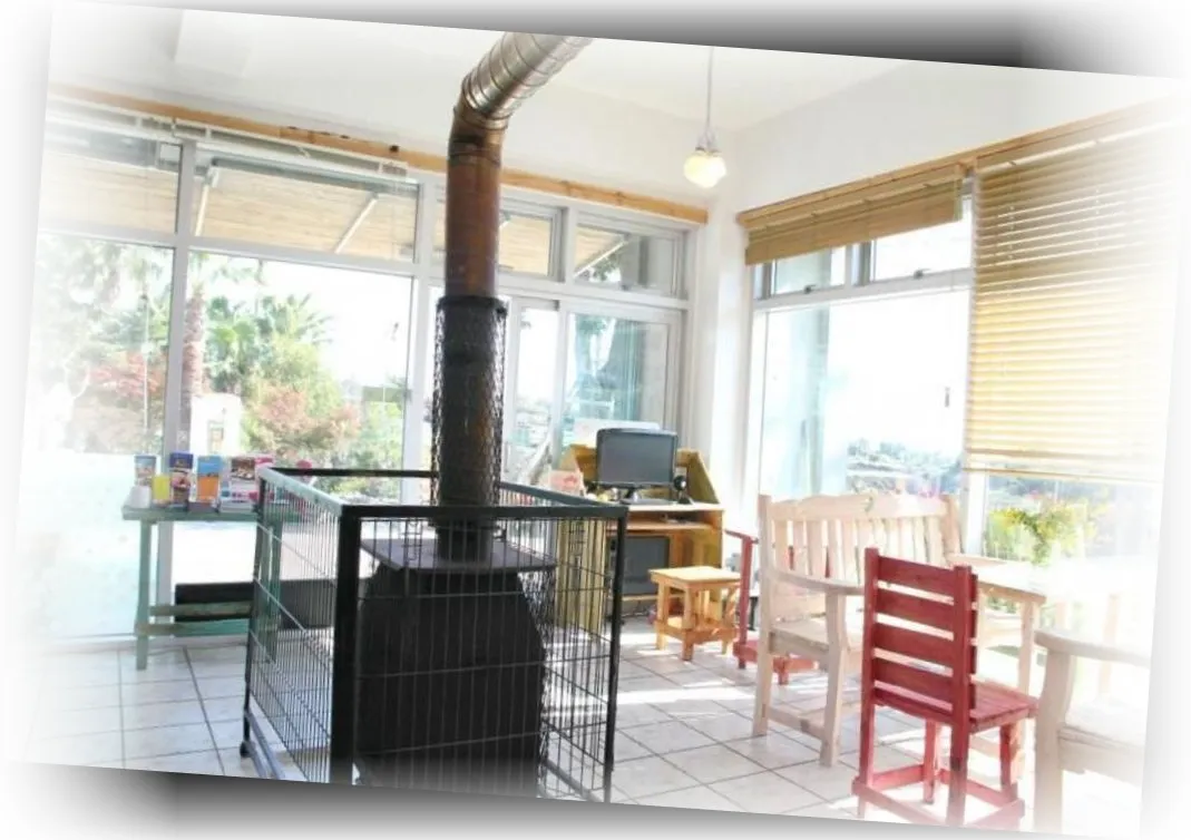 _____________image_5.webp