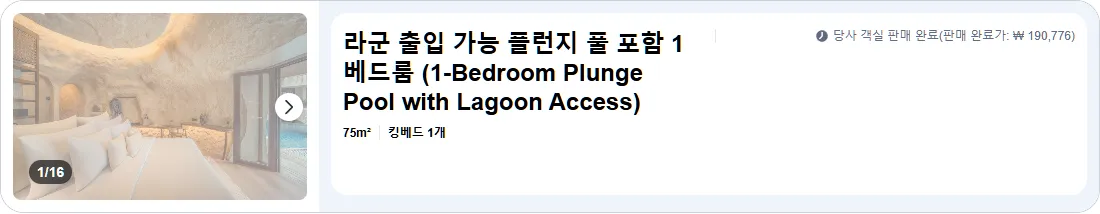 라군 출입 가능 플런지 풀 포함 1베드룸 (1-Bedroom Plunge Pool with Lagoon Access)