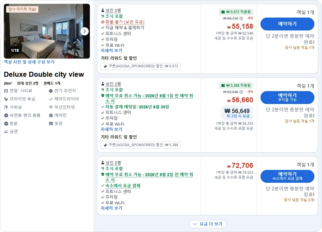디럭스 더블 시티뷰